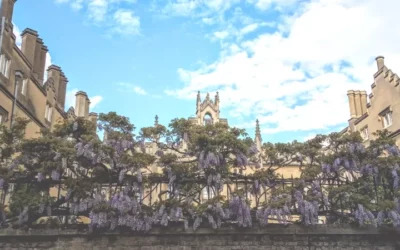 Walking in Cambridge