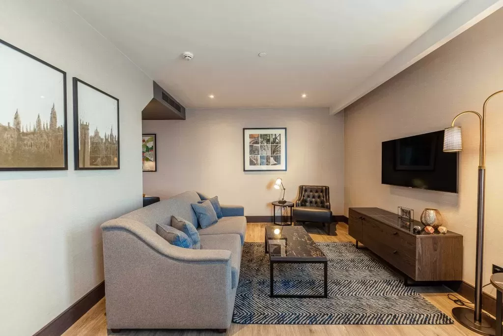 Luxury apartments fully furnished lounge area Luxury apartments fully furnished lounge area